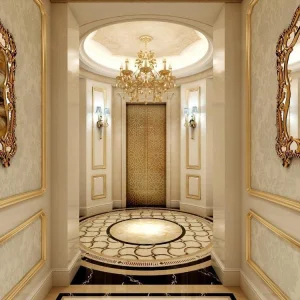 FUJI Elevator Hotel Office Mrl Passenger Elevator Lift