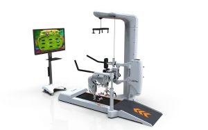 Premium Physical Walking Therapy System