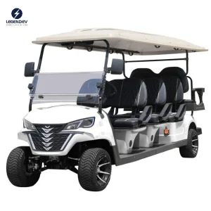 6+2 W/Rear Seat Folds Down 48V 5kw AC Motor Fast New Customize Electric Golf Cart Car