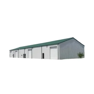 Steel Structure Pre-Engineered Factory/Warehouse/ Workshop/ Cold Storage Steel Structure Buildings