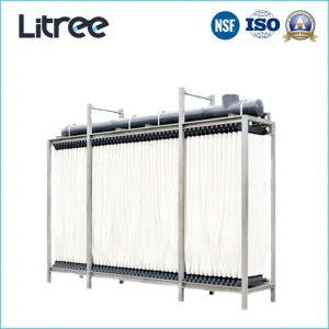 Litree UF Membrane Ultrafiltration Mbr System for Slaughter House Wastewater Treatment Dairy Wastewater Treatment Filtration