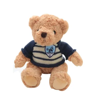 Custom Teddy Bear Plushies