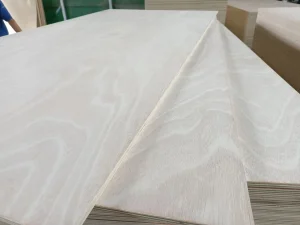 1220X2440mm Plywood Board E1 Glue Poplar Core and Hardwood Core 2 Times Hot Pressed for Furniture