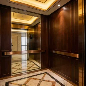 Gearless Traction Passenger Elevator with Advanced Microprocessor Control System for Precise Leveling