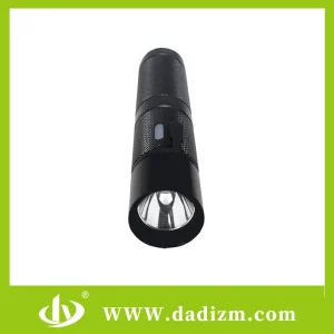 ATEX Flashlight