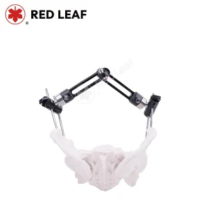 Pelvic Stabilization