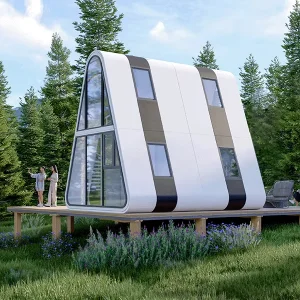 Triangular Intelligent Space Capsule