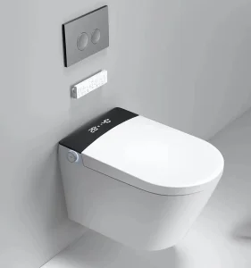 Wholesale Instant Type Smart Toilet