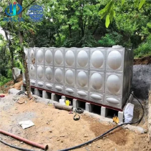 Stainless Steel Dual Flush Tank