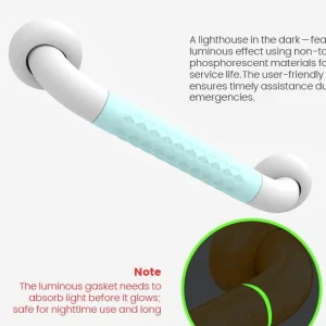 Medical Grade Toilet Grab Bar