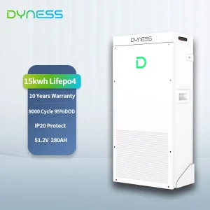 Dyness Powerwall 15kwh Lifepo4 Battery 8000 Cycle Built Wifi Best Home Solar Backup Battery System with 10kw Inverter