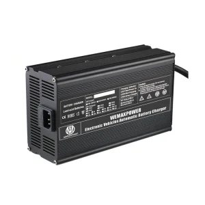 WEMAXPOWER Li-ion E Rickshaw Battery Charger