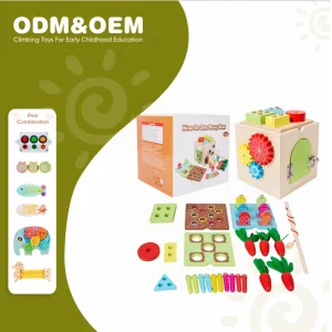Montessori Wooden Toys Play Kit for Toddlers 2 4 Object Permanence Box Coin Carrot Early Development Shape Sorter Ball Drop EN71