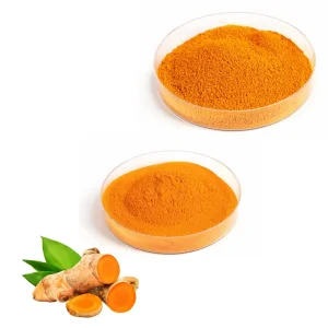 Premium 95% Curcumins Turmeric Root Extract Powder