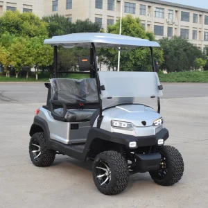 Hot selling manufacturer customized golf cart electric golf cart 5-6 seat mini electric golf cart
