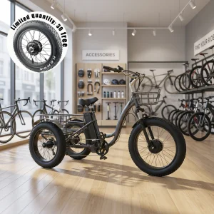 Heavy-Duty 3-Wheel Fat Tire Electric Bike Tricycle Courier E-Trike for Cargo Transport