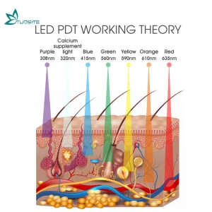 7 Color Beauty Wrinkle Remover Device Face Light Therapy PDT LED Facial Mask Machine