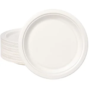 Free Sample 9 Inch Eco-Friendly Sugarcane Bagasse Biodegradable Disposable Waterproof Microwave Safe LFGB Certified Contemporary