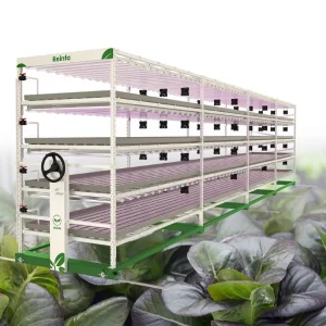 Melbourne Water Saving Hydroponics