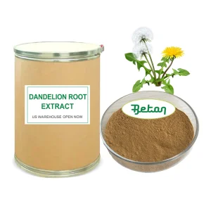 Dandelion Root Extract Powder