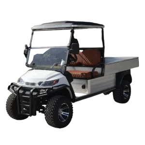 Lithium Battery Electric Golf Carts Mini Car
