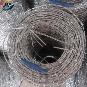 High Quality Double Strand Galvanized Razor Barbed Wire Fencing
