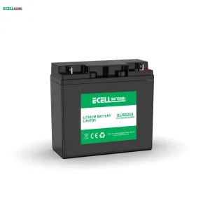 Ecell Lithium LiFePO4 Telecom Battery
