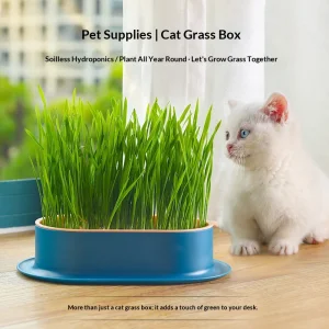 Cat Grass Seed Kit Hydroponic Growing Box