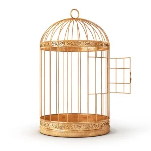 Large Metal Bird Cage with Seed Guard