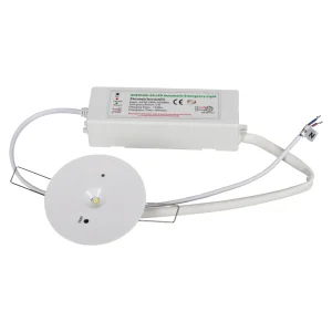 CE Approve Recessed Mounting Non-Maintained LED Emergency Downlight Spotlight 3W 3h