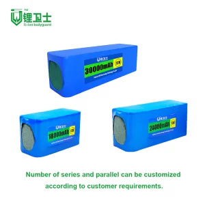 Electric Bicycle Battery