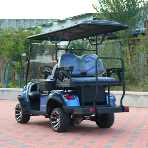 Huanli 4-Seater Off-Road Electric Sightseeing Golf Buggy