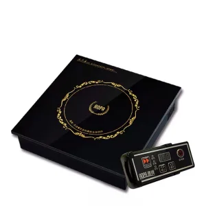 AOPA H13 110V Commercial Electric Stove