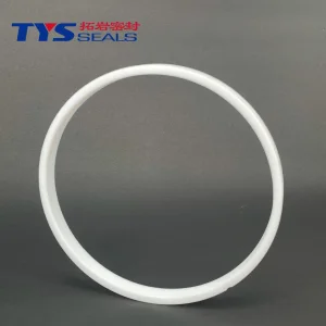 PTFE Sealing Rings