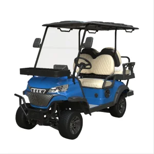 4 Seater Electric Sightseeing