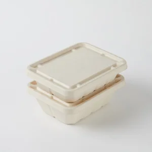 Biodegradable Recycled Sugarcane Molded Round Plate White Food Container Water Oil Proofing 9''/10''/12'' Custom Logo Acceptable