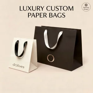 Custom Luxury Paper Bag Small Gift Bag
