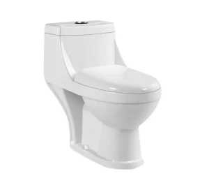Siphon Flushing Standing Floor Washdown Watermark Wall Hung Smart Toilet Closestool ODM