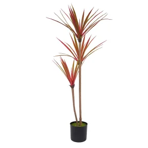 High Simulation Dracaena
