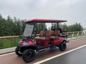 Best Hot Sale Buggy Cart Electric Utility Vehicle