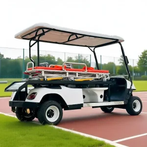 Custom JOYPYE-ODM：[DJGA] 2 seater battery powered/ Electric Golf Cart modify Electric medical casualty transfer vehicle Manufacturers, Products