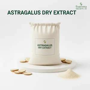 Astragalus Extract Powder