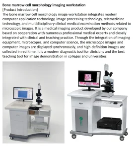 Bone Marrow Analysis