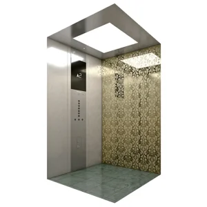 Shock Absorbing Elevator