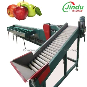 Máquina de Clasificación de Manzanas Clasificar por Peso Procesamiento de Frutas