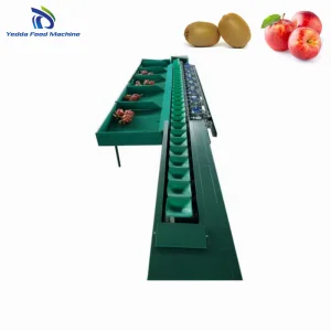 Avocado Grading System with Packing Features
