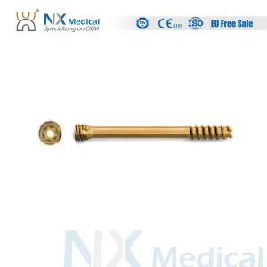 Headless Compression Screw Metallic