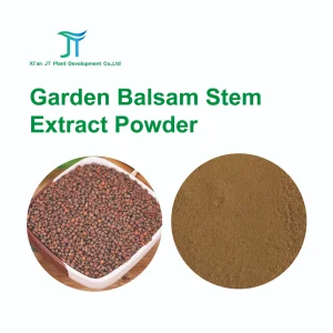 Pure Natural Chinese Herbal Medicinel Garden Balsam Stem Extract Powder