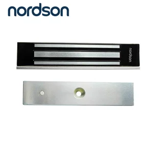 Stainless Steel Waterproof Outdoor Access Control Door Magnetic Pin Lock System