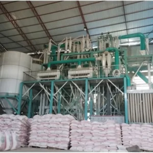 مصنع معالجة القمح 60tpd-80tpd